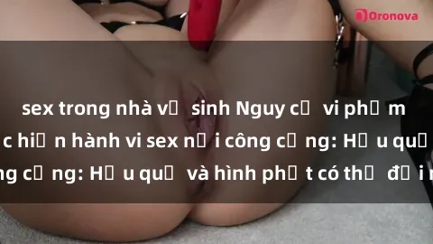 sex trong nhà vệ sinh Nguy cơ vi phạm pháp luật khi thực hiện hành vi sex nơi công cộng: Hậu quả và hình phạt có thể đối mặt